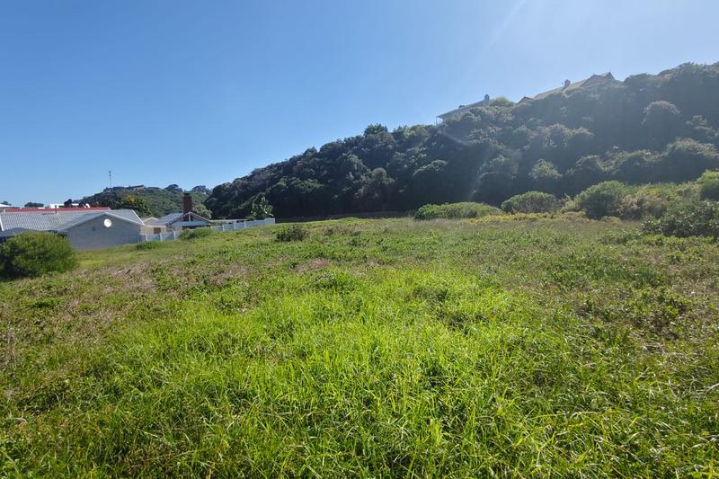 0 Bedroom Property for Sale in Outeniqua Strand Western Cape